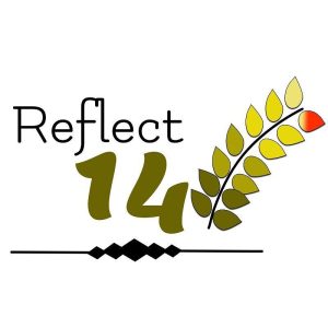 Reflect 14